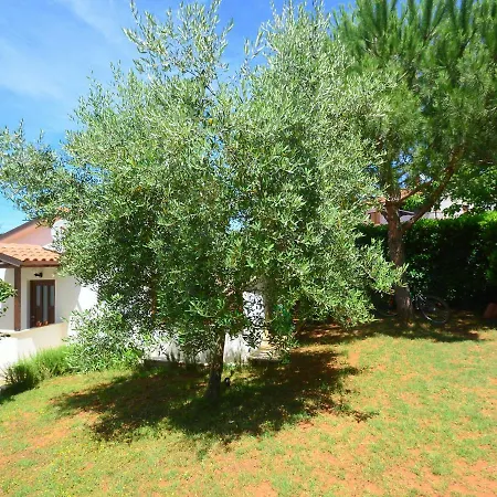 Holiday home Holiday Home Dunja By Interhome *