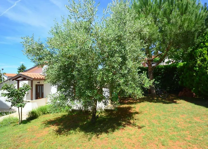 Vakantiehuis Dunja By Interhome *